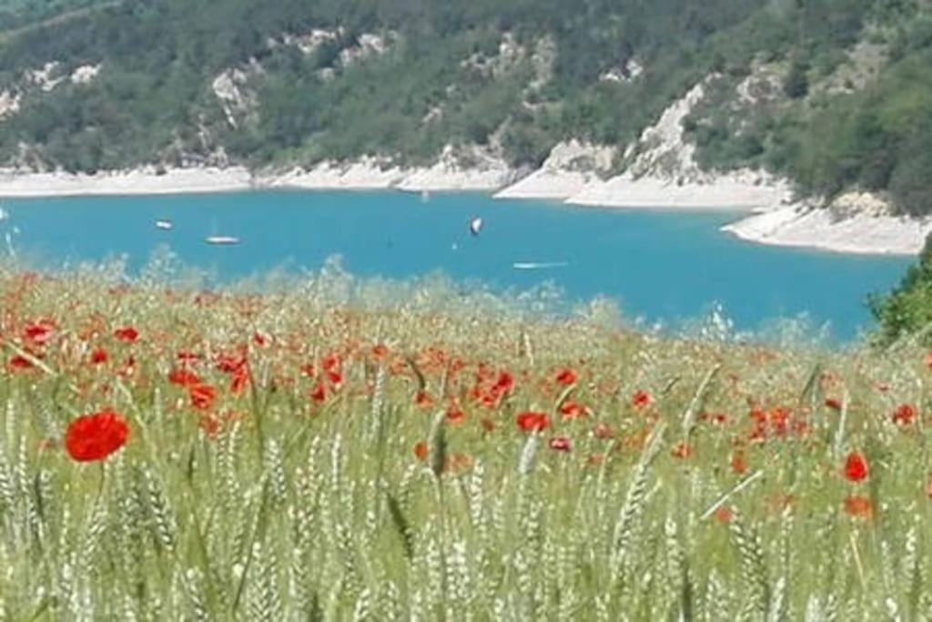 Gite De Charme : La Grange Au Lac Azur Treffort  Luaran gambar