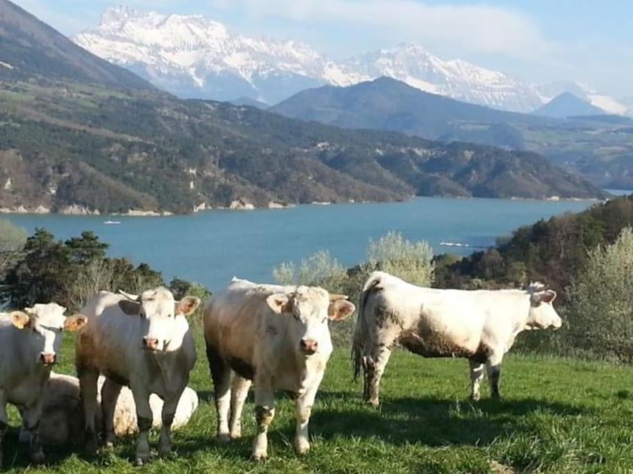 Gite De Charme : La Grange Au Lac Azur Treffort  Luaran gambar